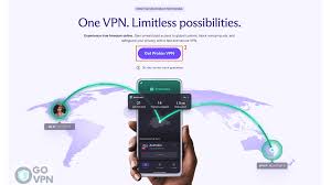 Proton VPN 下载 APK 的深度解析